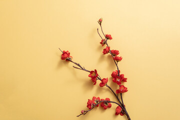 Red apricot blossom branch on yellow background. Flat lay. Chinese new year decoration. 