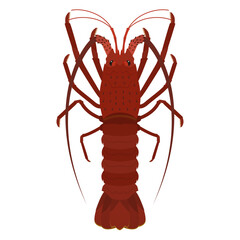 伊勢海老のイラスト