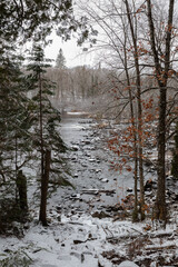 River and Forest in Algonquin Park on a cold wintery November day