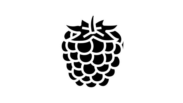 ripe blackberry line icon animation