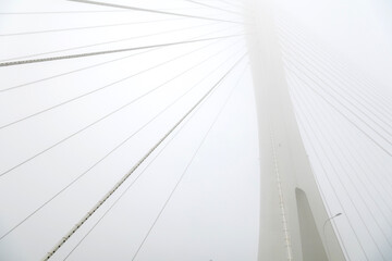 The bridge was shrouded in fog