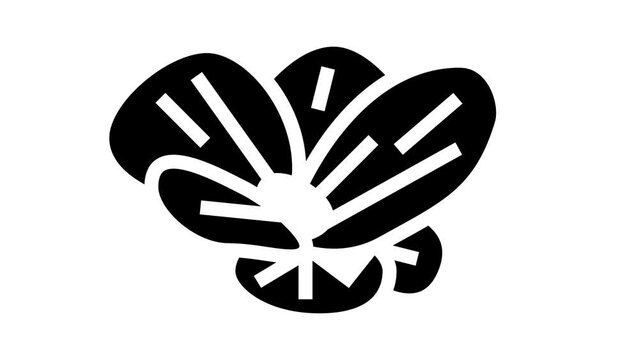water lettuce glyph icon animation
