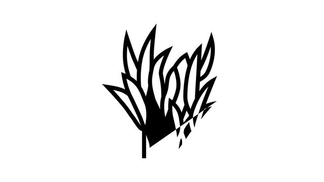 java fern line icon animation