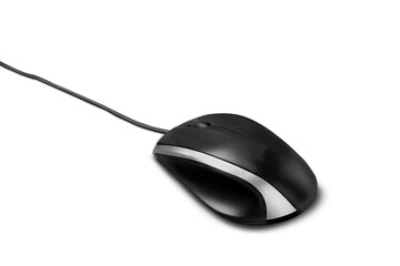 Computer Mouse