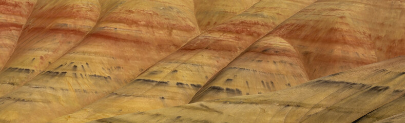 Hill Detail at Painted Hills Overlook in John Day Fossil Beds National Monument