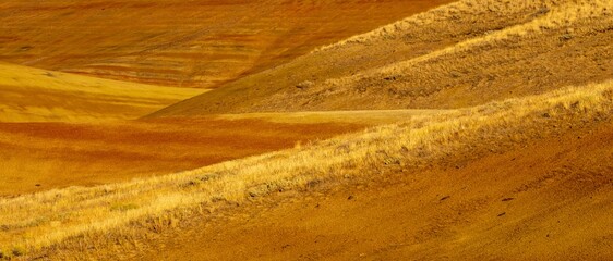 Fototapeta premium Hill Detail at Painted Hills Overlook in John Day Fossil Beds National Monument