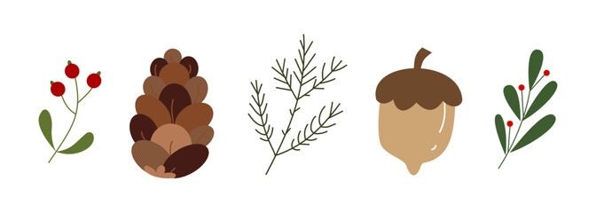 Illustration of winter and Christmas plants for design element. Collection of pine, berries and leaves for Christmas celebration.
