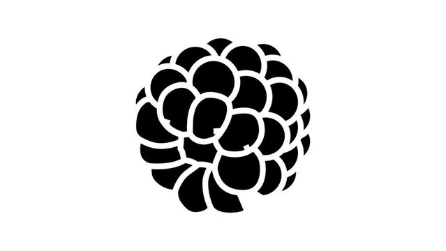 delicious blackberry line icon animation