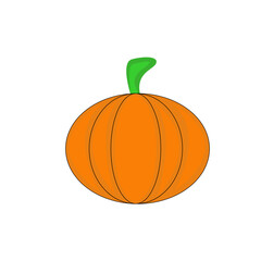 pumpkin isolated vector illustration