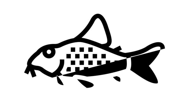 cory catfish line icon animation