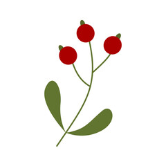 Berry illustration for Christmas ornament