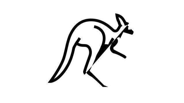 kangaroo animal in zoo line icon animation