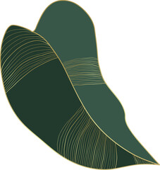 philodendron leaf © TWINS DESIGN STUDIO