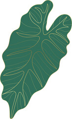 philodendron leaf © TWINS DESIGN STUDIO