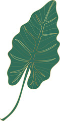 philodendron leaf © TWINS DESIGN STUDIO