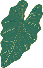 philodendron leaf