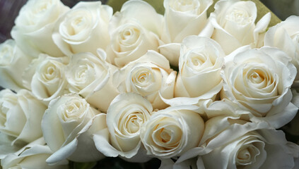 fresh white roses in a bouquet as background