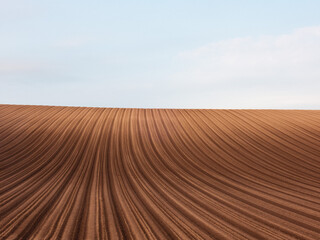 A spring field with curving ridges