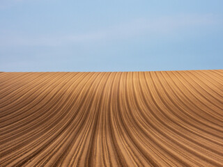 Naklejka premium A spring field with curving ridges