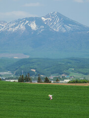 Farming and the Tokachi mountain range on a vast spring hill