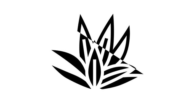 cryptocoryne wendttii line icon animation