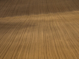 Spring field with linear ridges