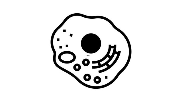 cell human line icon animation