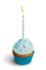 Cupcake with Candle