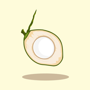 Hand drawn cartoon illustration of young coconut fruit, filled with white, clean, green, fresh bold
