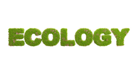 3d rendering of grass letters alphabet,the word ecology.