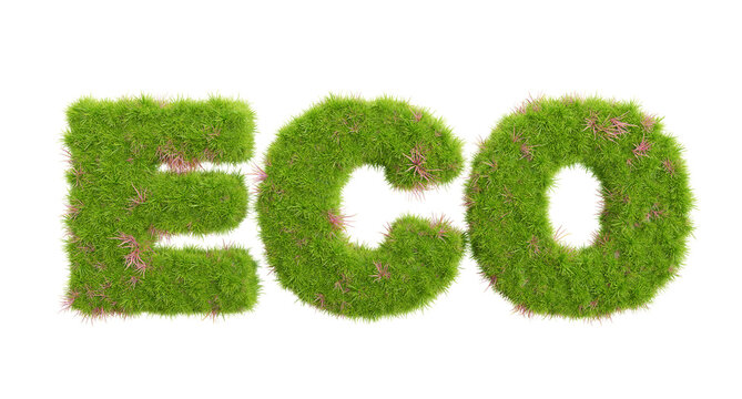 3d rendering of grass letters alphabet,the word eco.