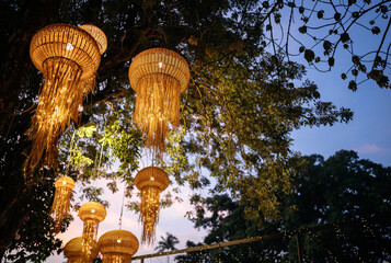 Lanterns in the form of jellyfish hang on a tree and illuminate the area for the event. Lighting.
