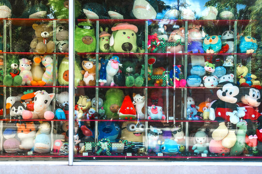 The discount 2024 toy shop