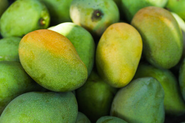 Group of fresh green mangoes.