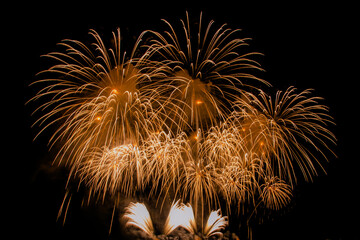 fireworks,beautiful fireworks in the dark sky
