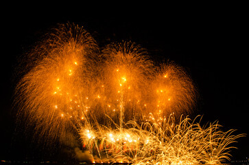 fireworks,beautiful fireworks in the dark sky