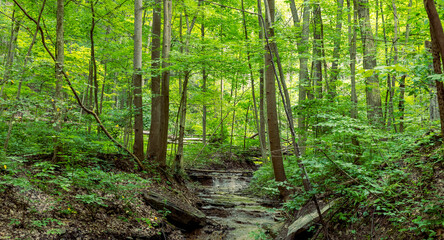 Running water stream at Cuyahoga valley national park, Ohio