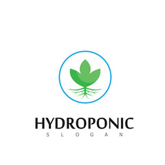 hydroponic logo nature natural leaf