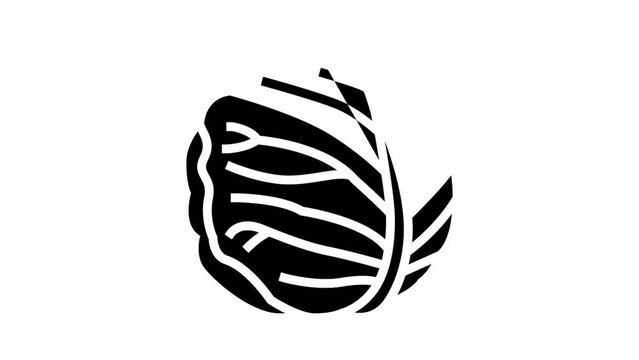 white cabbage glyph icon animation