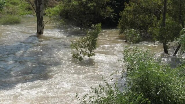 River flood water overflows banks and inundates shoreline trees