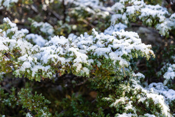 Slightly snowy landscape with the first snowfall in the Sierra de Guadarrama in Madrid