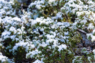 Slightly snowy landscape with the first snowfall in the Sierra de Guadarrama in Madrid