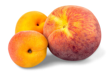 Apricots and Peaches