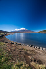 秋の山中湖の湖畔と冠雪した富士山