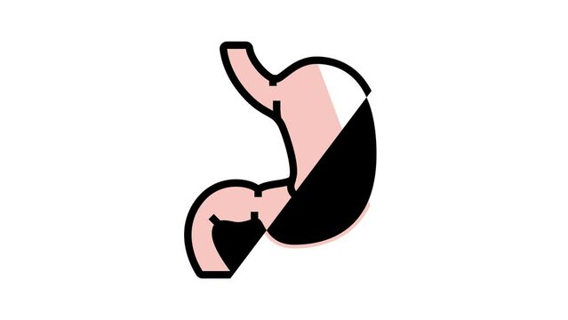 stomach human organ color icon animation