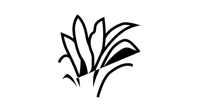 amazon sword line icon animation