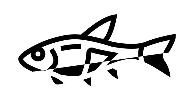 rasbora fish line icon animation