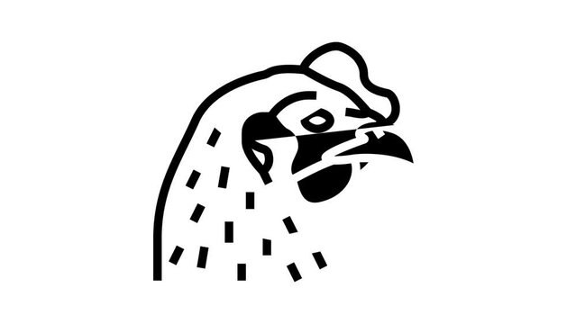 chicken animal zoo line icon animation