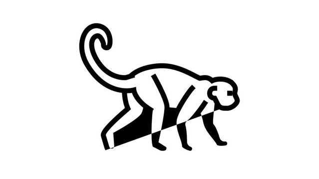 monkey animal in zoo line icon animation
