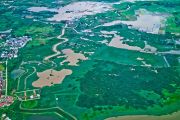 aerial view of green swamp
